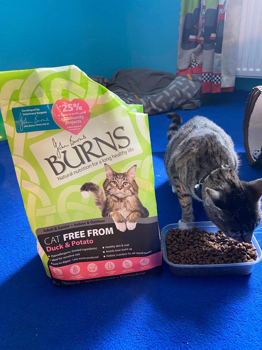 The Pettifor Trust (@pettifortrust) on Twitter photo Say hello to Tiddles 🐱🐈 One of the many cats supported through our 'Keeping Poeple and Pets Together' Project. Sponsored by <a href="/burnspetfood/">Burns Pet Nutrition</a> #backedbyburns #poweredbyburns #supportingthecommunity #animalwelfare Say hello to Tiddles 🐱🐈 One of the many cats supported through our 'Keeping Poeple and Pets Together' Project. Sponsored by <a href="/burnspetfood/">Burns Pet Nutrition</a> #backedbyburns #poweredbyburns #supportingthecommunity #animalwelfare