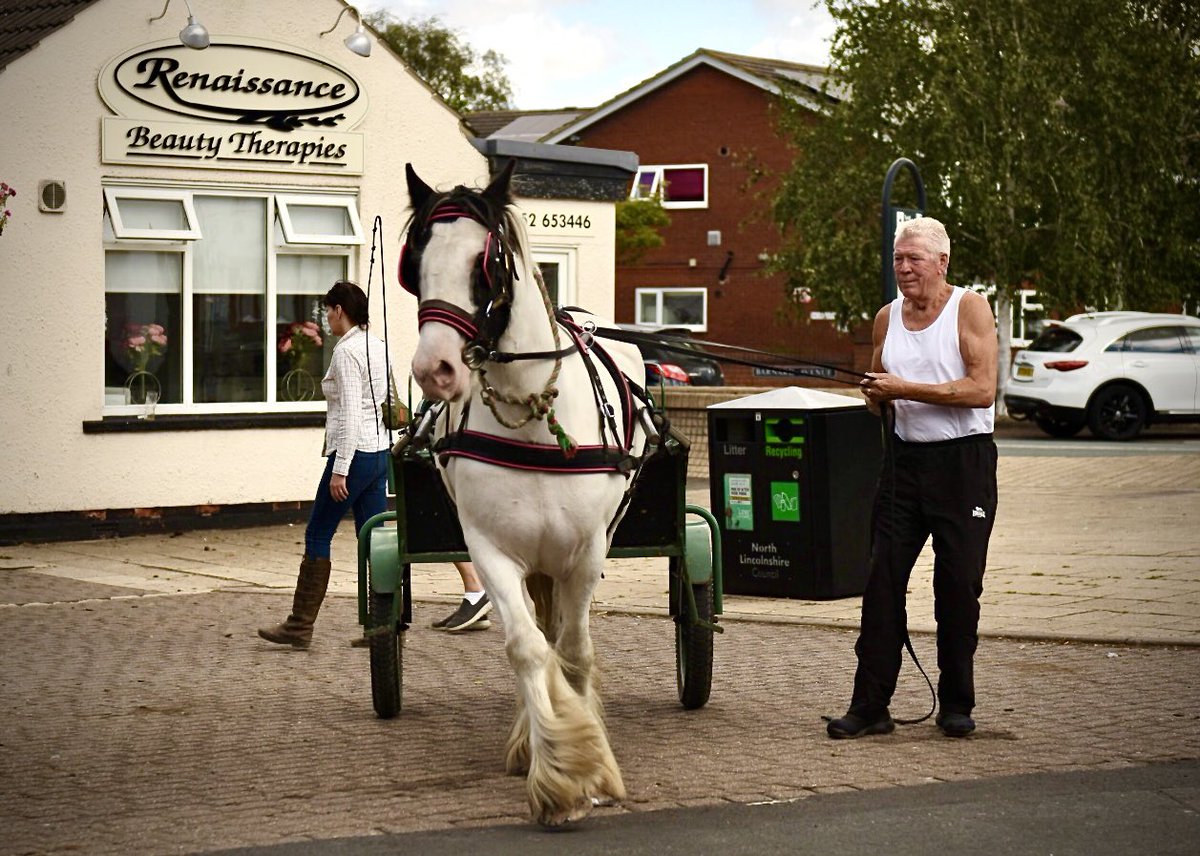 Lesley collins tweet media