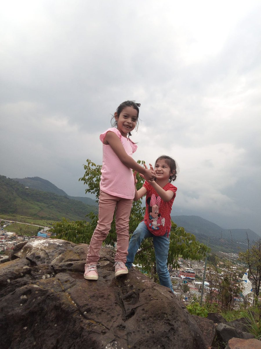 Sir Gato tweet media