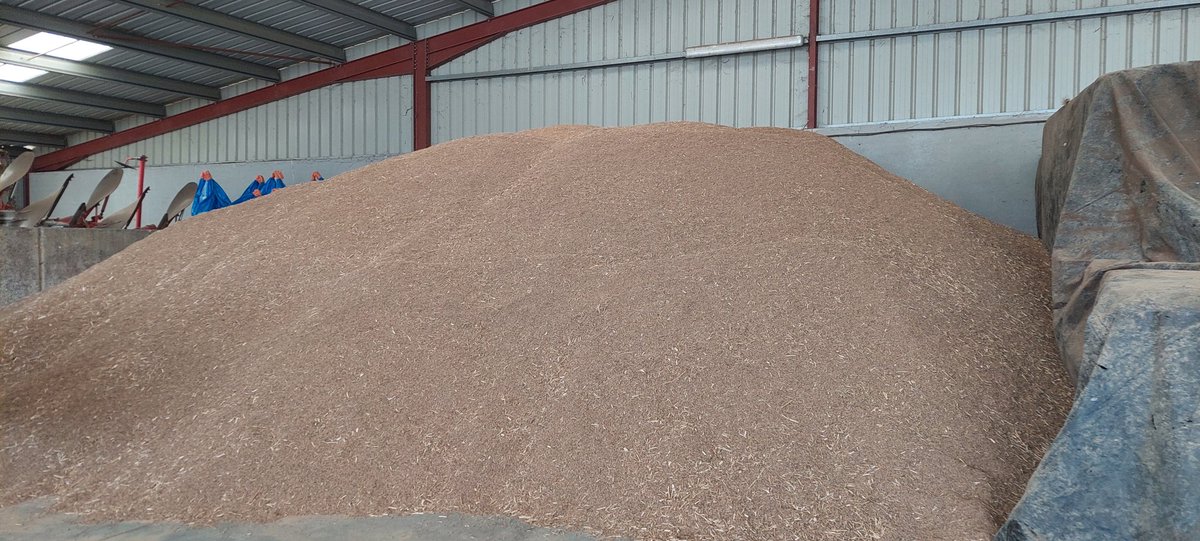 Cette semaine c'était la récolte des #betteraves porte graines pour votre futur #Sucre !
Le stress hydrique n'a pas été très favorable pour la culture !
#Secheresse2022
<a href="/_MissBetter/">Miss Better</a> <a href="/GuyotVincent02/">GUYOT Vincent</a> <a href="/BruCardot/">Bruno 😅Salut Salut</a> <a href="/semae_officiel/">semae</a> <a href="/NatDedieu/">Nathalie Dedieu</a> 
#ceuxquifontlessemences