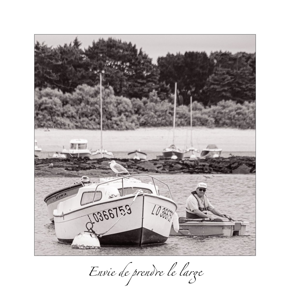 Envie de prendre le large…

#hello_france #Bretagne #Morbihan #jaimelemorbihan #jaimelabretagne #bretagnetourisme #bretagnetourisme #visitbretagne #visitbretagnesud #linnatendue 
#plagebretonne #plagebretagne #iledegroix