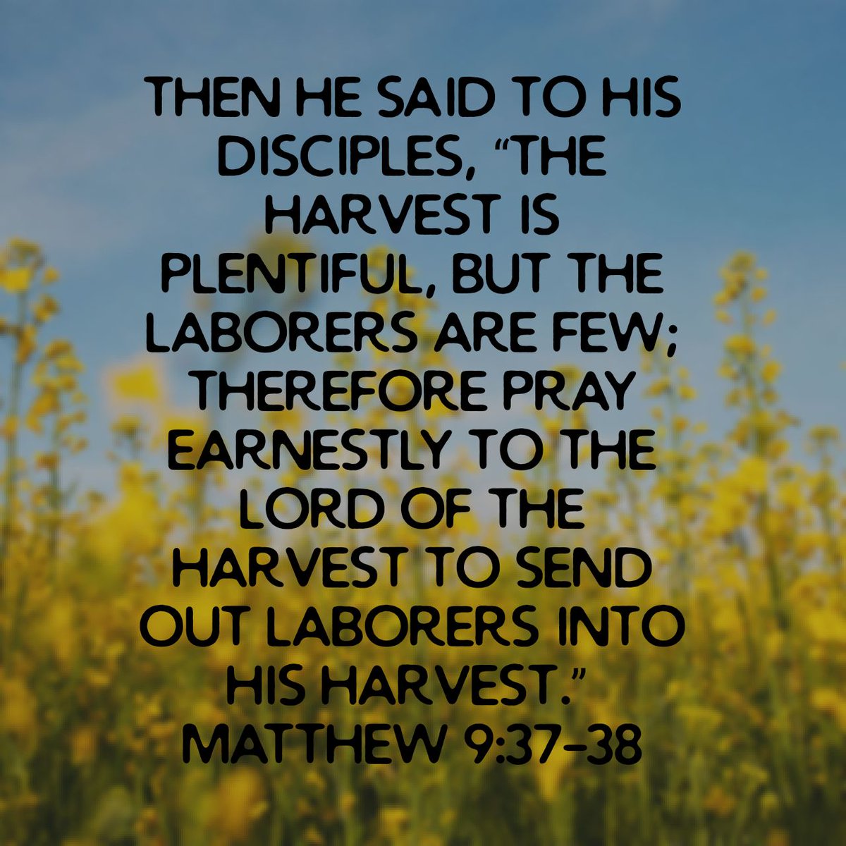 PrimalGuide's tweet image. Then he said to his disciples, “The harvest is plentiful, but the laborers are few; therefore pray earnestly to the Lord of the harvest to send out laborers into his harvest.”
Matthew 9:37-38 ESV

bible.com/bible/59/mat.9…