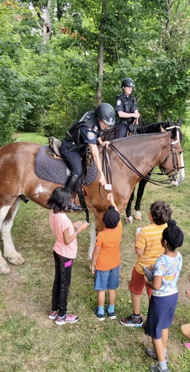 TPSMounted's tweet image. Camp really is fun with horses! Thanks again CampTO for inviting us. #PHBlueJay and #PHFirstResponder enjoyed their time with all at the Scarborough Village Recreation Centre  #bigmeetssmall #torontomounted #torontopolice #scarborough #summercamp