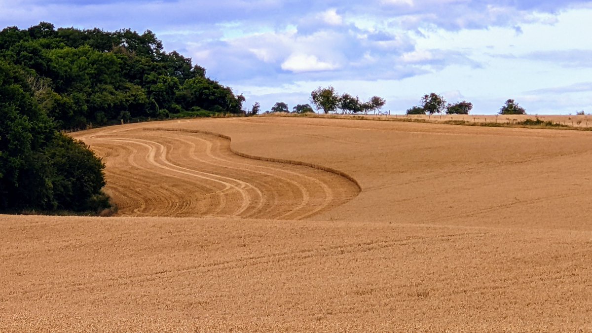 Thank you to everyone who attended our event with <a href="/OverburyEnt/">Overbury Ent</a> yesterday evening 🚜

We received a fantastic insight into the world of agritech, with excellent company and delicious food afterwards🌾

We look forward to seeing you at our September event soon //

#agritech