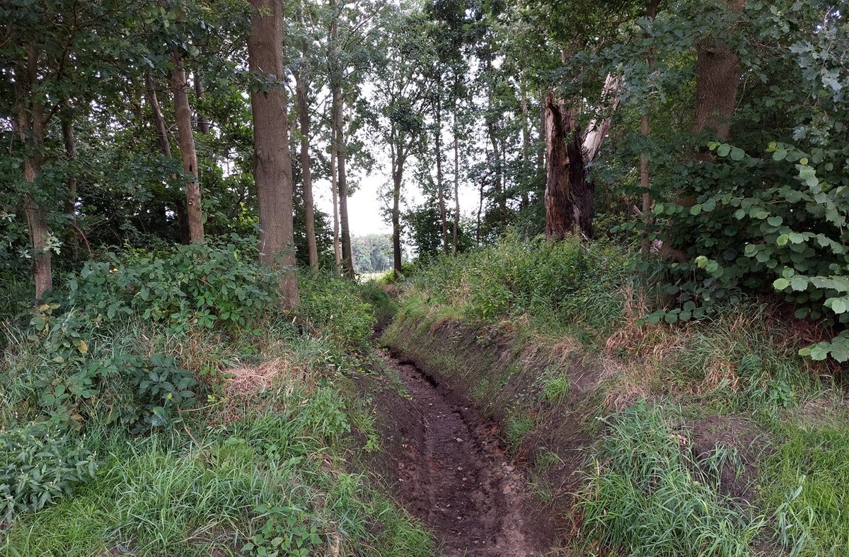 HeijdenJozef's tweet photo. Droogte treft ook de #Raamsloop Lage Mierde
#meandering_Raamsloop
@BoswachterFrans @Brab_Landschap @wddommel https://t.co/IYxKacChXw