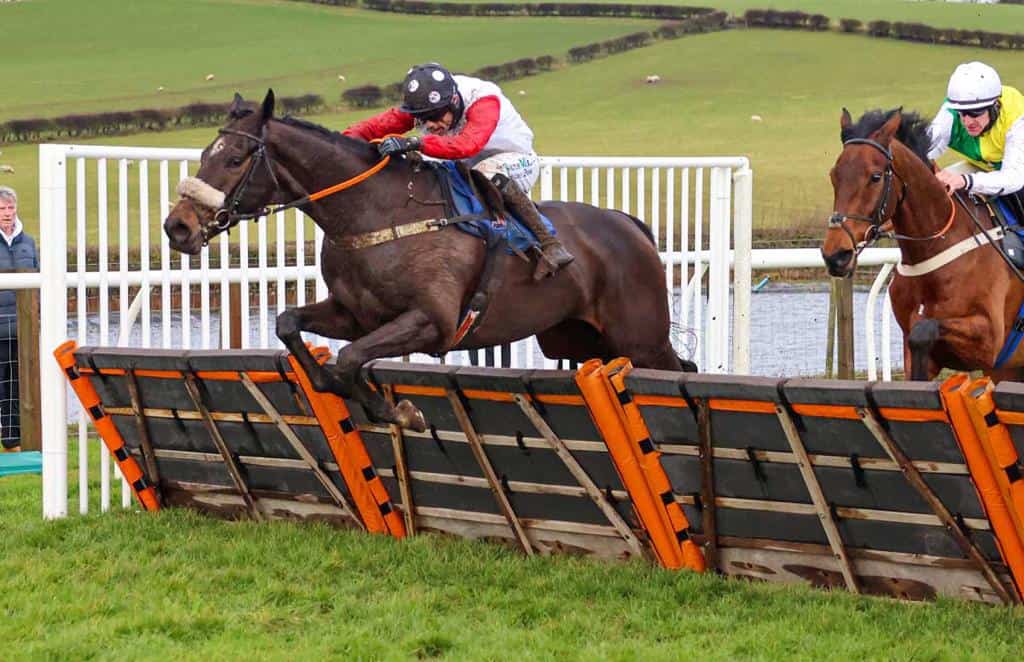 Ned Tanner, winner of two races and never out of the first four to date. He is an exciting prospect over fences this season