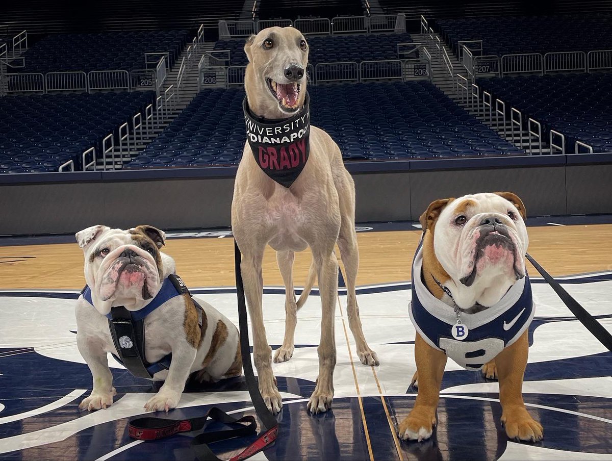 TheButlerBlue's tweet image. Seeing old friends and making new ones☺️

Cohosting the Collegiate Live Mascot Conference was a dream. These humans have the best jobs in the world.