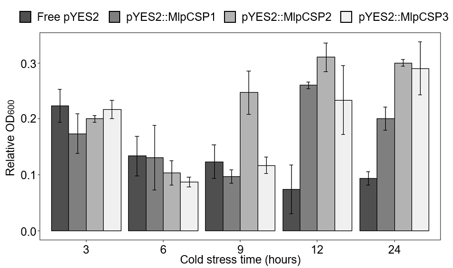 ClementineLt's tweet photo. Finally, the expression of Melampsora larici-populina cold-shock genes in yeast allows cell growth recovery after exposure to cold stress, addressing for the first time the function of regulatory genes associated to dormancy exit and basidia differentiation. 5/5 https://t.co/VAIiAK3vYI