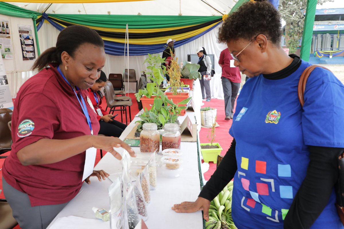 CREATES ACE TANZANIA tweet media