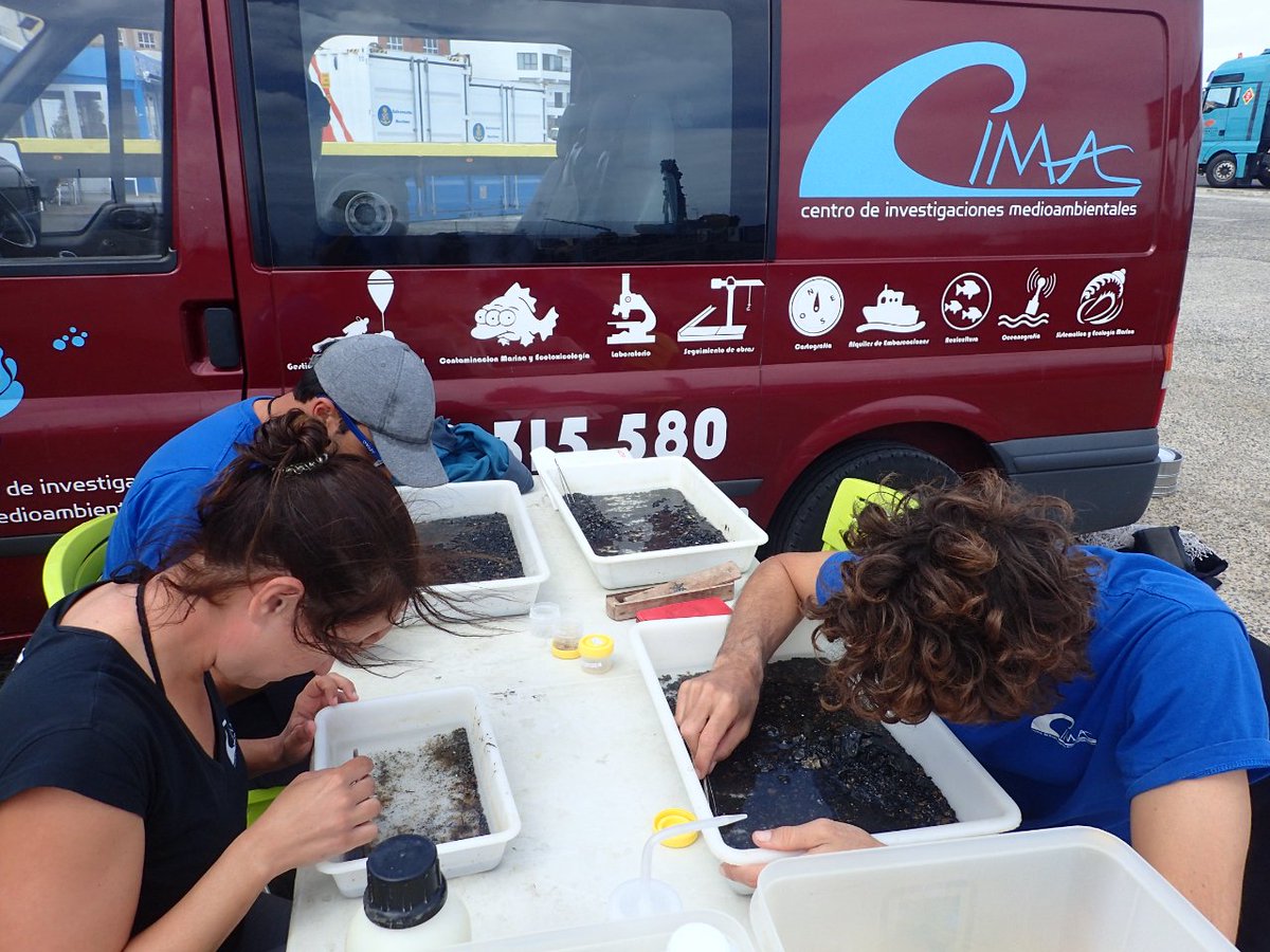 cima_sl's tweet photo. Una de las tareas que desempeñamos en @cima_sl es la identificación taxonómica de macrofauna invertebrada marina. 

Acreditados por ENAC 💪

Os dejamos algunas imágenes de nuestro equipo trabajando en Fuerteventura

Déjanos un ❤ si te ha gustado

¡Feliz fin de semana! ☀ https://t.co/3fPIvvuPEA