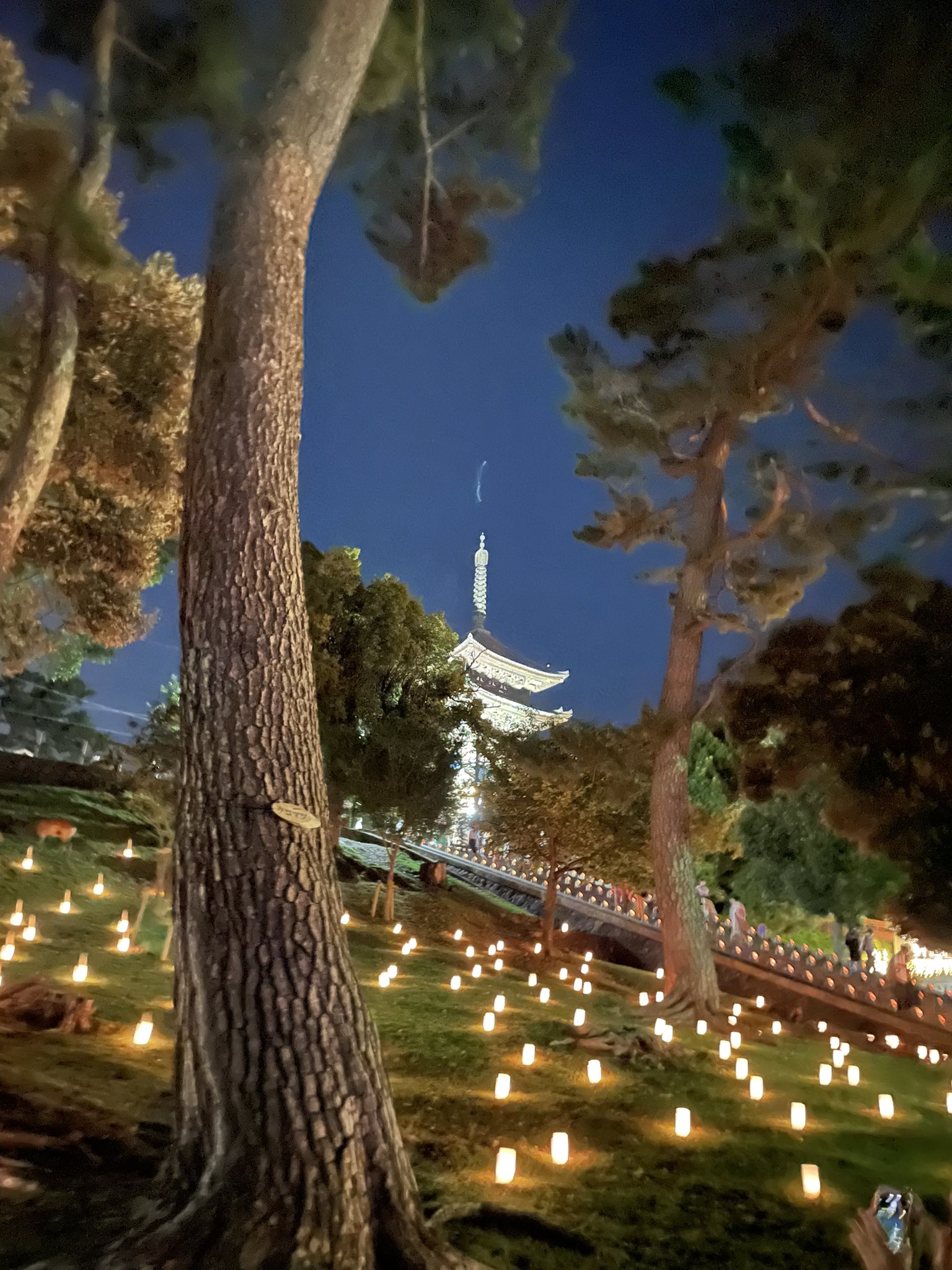 煌めきの卵 燈花会に行ってきました 屋台とかも出てお祭り感味わえました 猿沢池綺麗でした T Co Xq6iydn7iy Twitter