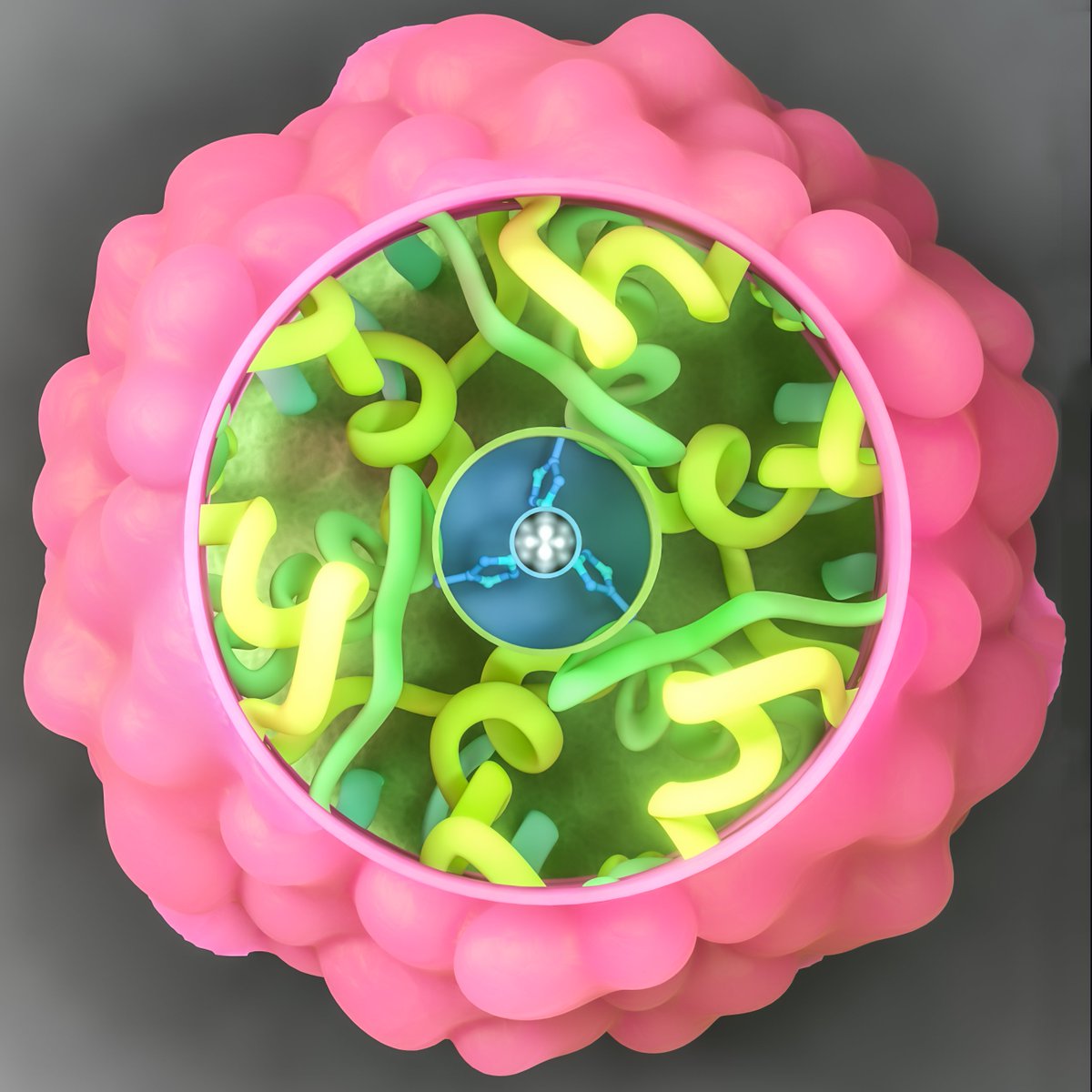 Dr Anna Tanczos tweet media