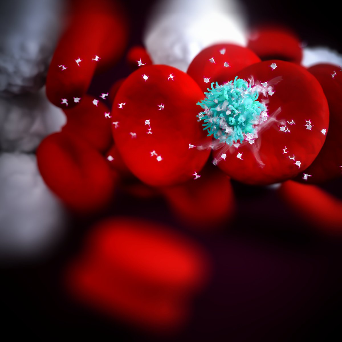 Dr Anna Tanczos tweet media