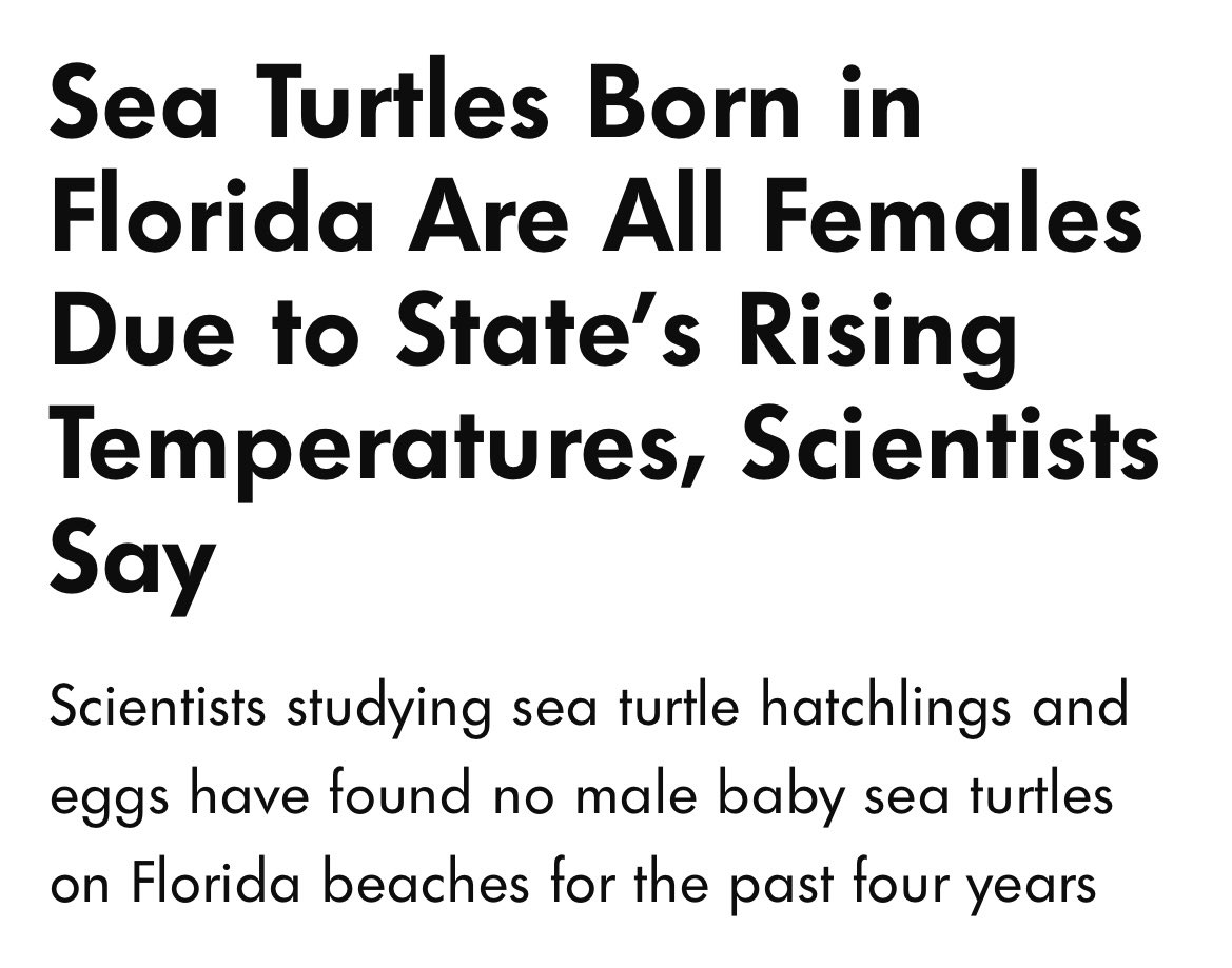 SharpieStuff on Twitter "RT BrandyLJensen hot girl summer"