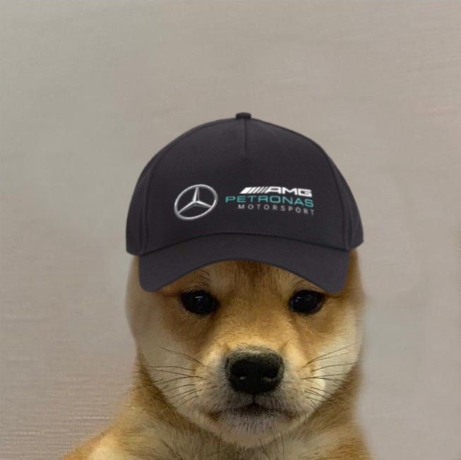 Aria 🏎 tweet media