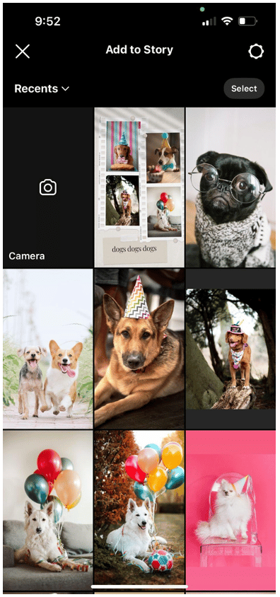 EdTobie's tweet photo. Sometimes a single photo just won't cut it 🤷‍♀️ Take advantage of your IG Stories by adding multiple photos at once! https://t.co/n1o8s6Qgp6 https://t.co/xpvLXWVvyo