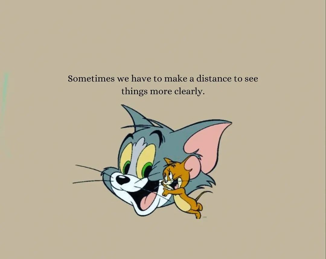 Seek Wiser on Twitter: