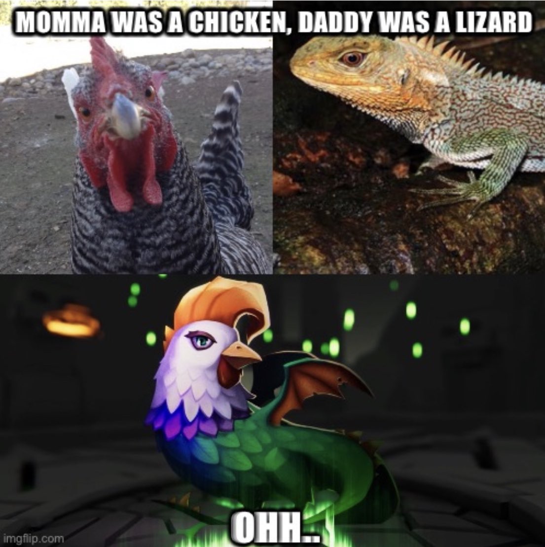 Chicken Lizard ftw! 🔥