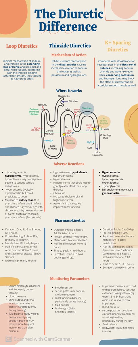 lilhwn2's tweet image. In case you need a review of diuretics. Thanks to my ⁦@auhcop⁩ student! #TwitteRx #AcademicRx #PedsICU