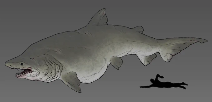 また磯撫で描きたいなぁ🦈
次は別の生き物にしたい 