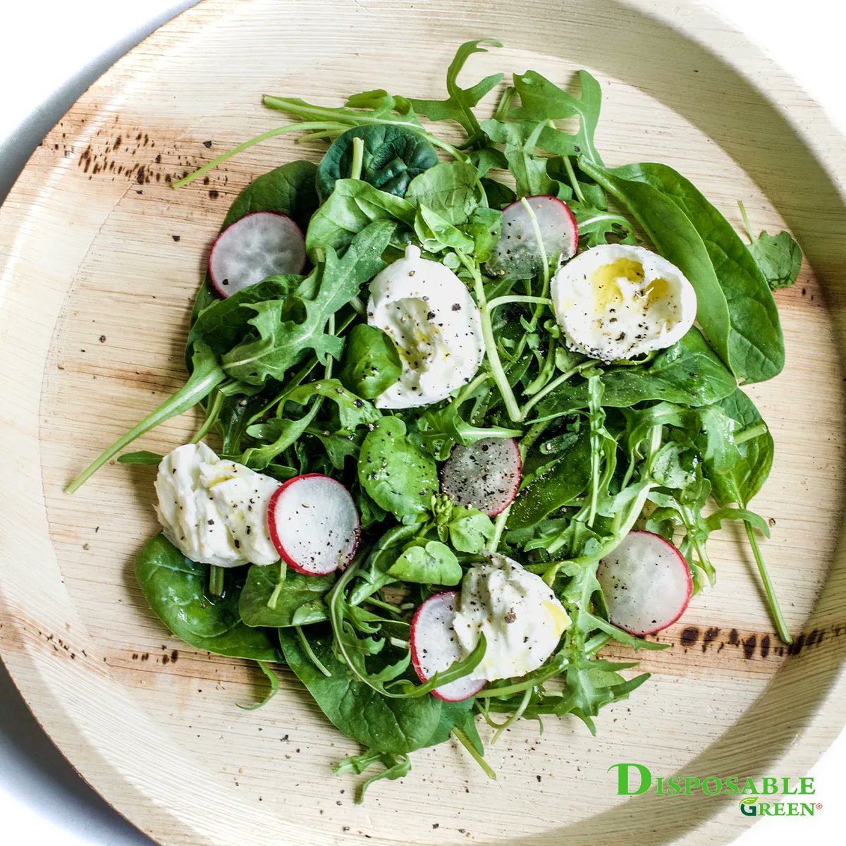 DisposableGreen's tweet photo. "Enjoy your food from our Areca leaf plates – perfect for hot or cold foods, liquids &amp; gravies due to their natural properties 🌱
.
Visit our website or order from Amazon!"
.

#DisposableGreen #gogreen #greenliving #sustainableplates #sustainabletableware #sustainablecutlery https://t.co/mYc7GWuxIb