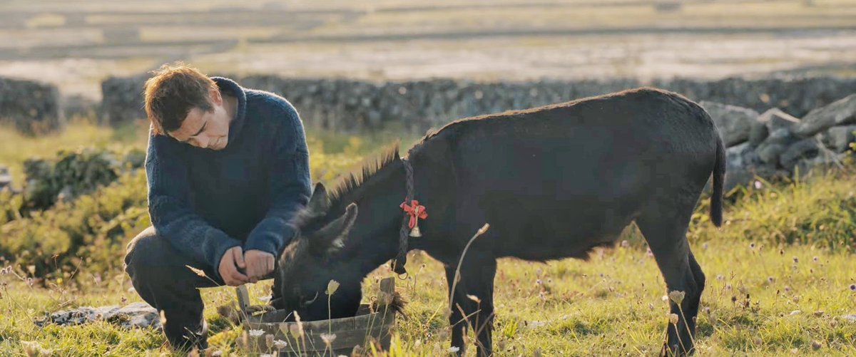 Can you fall in love with a picture? Yes, you can. That's for sure. 

Sigh. 

#TheBansheesofInisherin