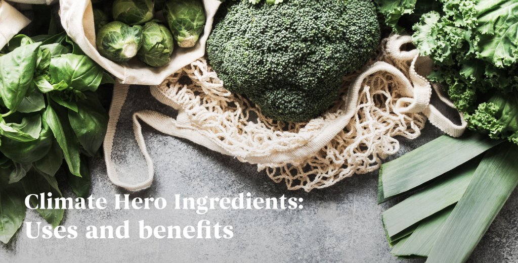 pointbleudesign's tweet image. The great concern about the climate crisis has led us to discover new ingredients and products. The so-called "Climate Hero Ingredients" have arrived to make us see the future a little more clearly. Don't miss it, on our blog! 🌿
