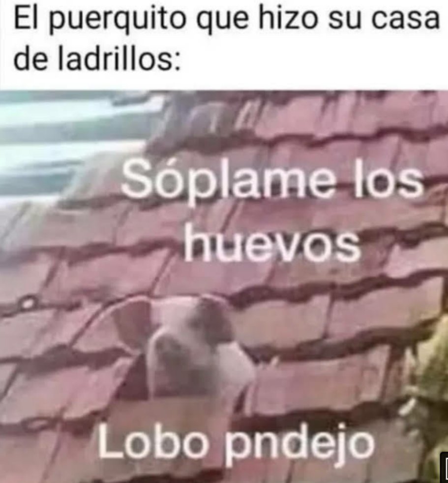 ElbuenEchoes's tweet photo. ¡Buenos días! ☀️🐷 https://t.co/Ddv1hH9P3R