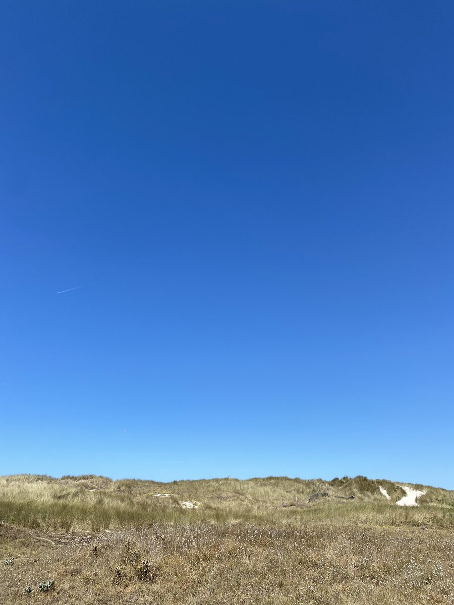 JulienDiers's tweet photo. 🔵💛 #PointedelaTorche 

#Finistère https://t.co/UCBSwdGfyf