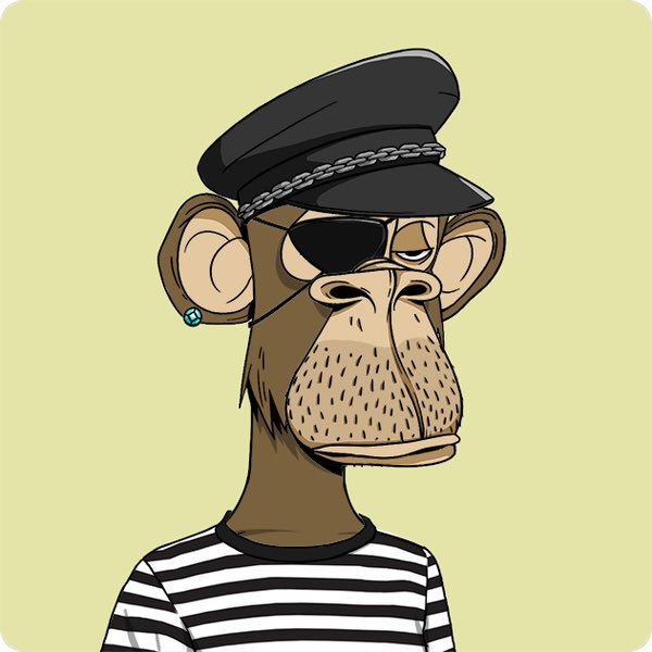 Bored Club Canada tweet media