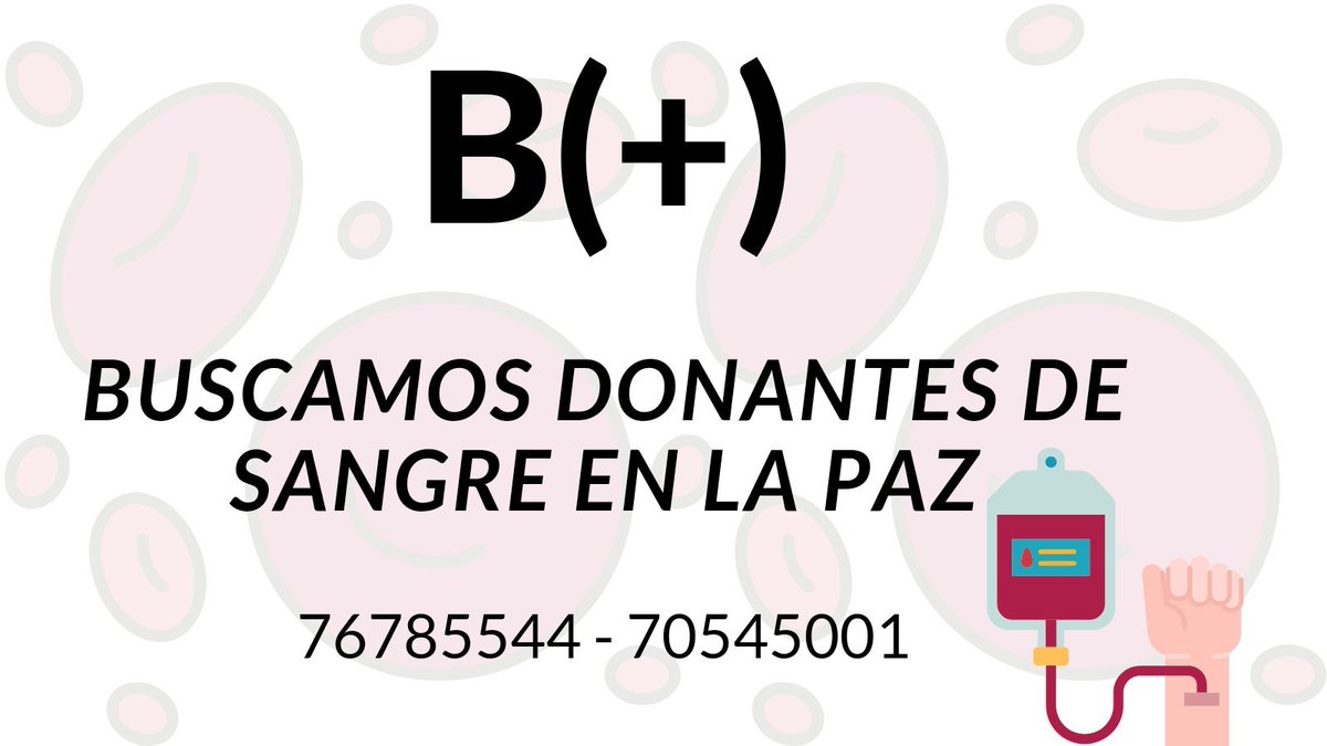 Luistigre tweet media