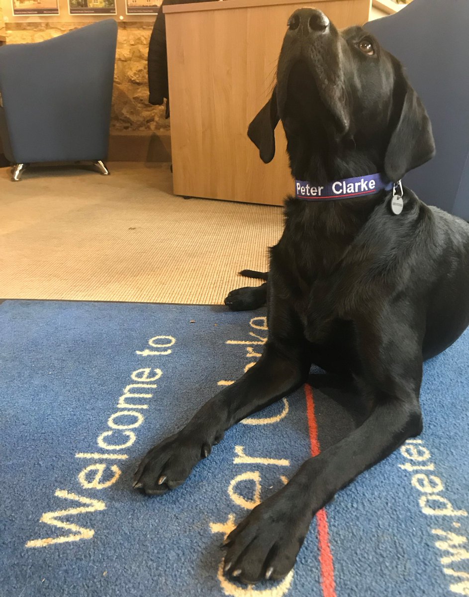 Peter Clarke & Co tweet media