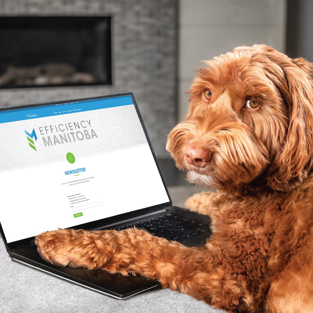 EfficiencyMB's tweet photo. Now that we have your attention, have you subscribed to our newsletter? Join over 10,000 Manitobans on our distribution list and start your energy efficiency journey! 

https://t.co/GQS4XPOkAK https://t.co/BGKqjAwE7X