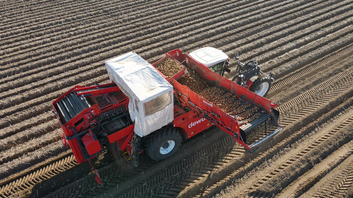 Frederick Hiam Ltd tweet media