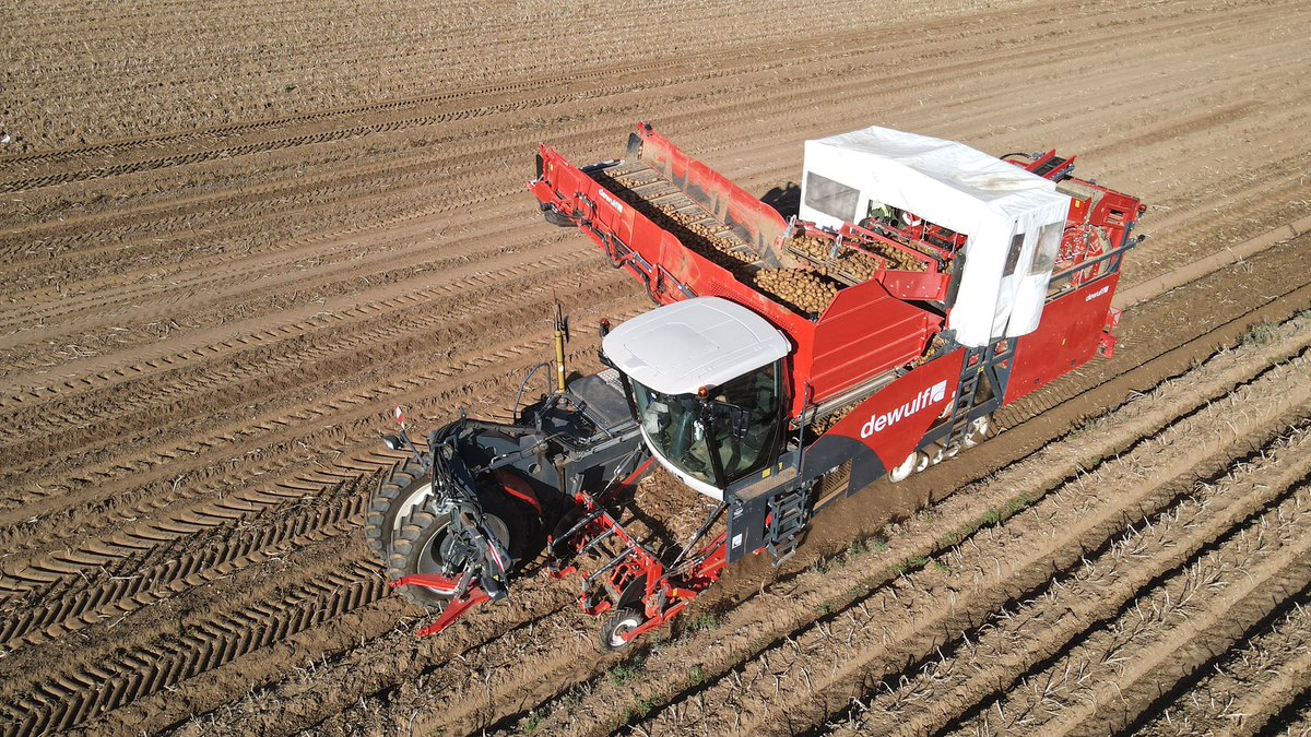 Frederick Hiam Ltd tweet media