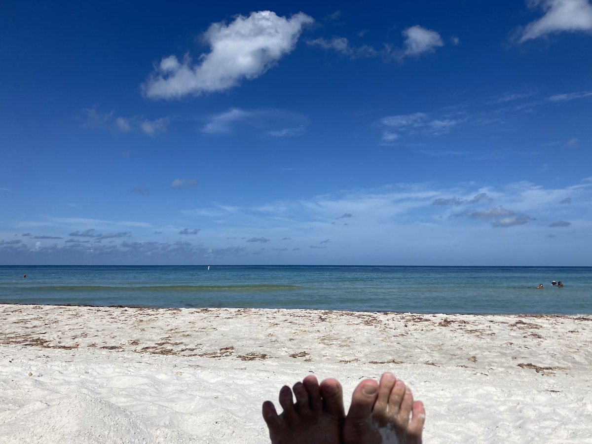 ritadotcom's tweet photo. And then beach time 🏖 https://t.co/3Te6zb8hFv