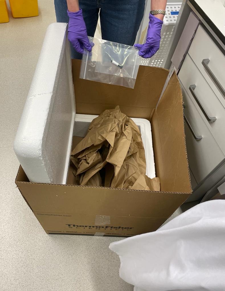 Jane Murphy (@janedoesscience) on Twitter photo <a href="/thermofisher/">Thermo Fisher</a>, why such massive boxes for tiny antibody tubes?! YOU ARE KILLING THE ENVIRONMENT <a href="/thermofisher/">Thermo Fisher</a>, why such massive boxes for tiny antibody tubes?! YOU ARE KILLING THE ENVIRONMENT