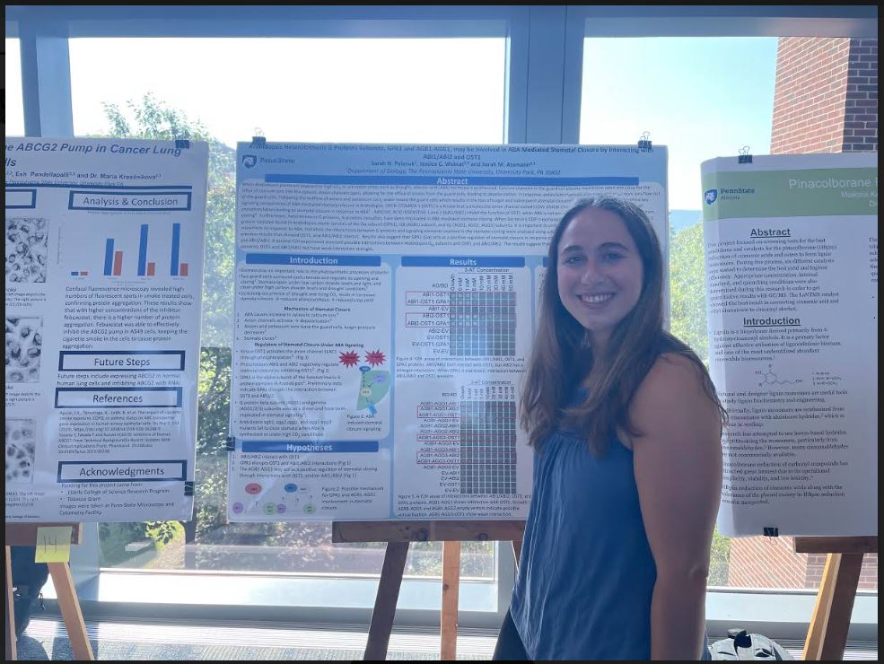AssmannLab (@assmannlab) on Twitter photo Our summer undergrad researcher, Sarah Polesuk, presented her work on G-protein involvement in stomatal closing at the <a href="/PSUScience/">Penn State Eberly College of Science</a> Summer Research Symposium for ECoS Scholars. Our summer undergrad researcher, Sarah Polesuk, presented her work on G-protein involvement in stomatal closing at the <a href="/PSUScience/">Penn State Eberly College of Science</a> Summer Research Symposium for ECoS Scholars.