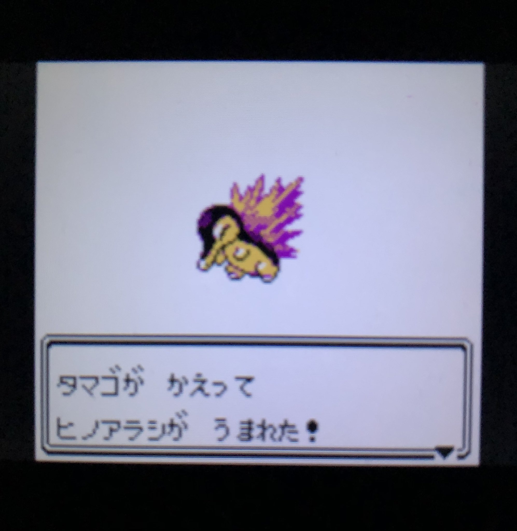 ポケモン金銀クリスタル Twitter Search Twitter