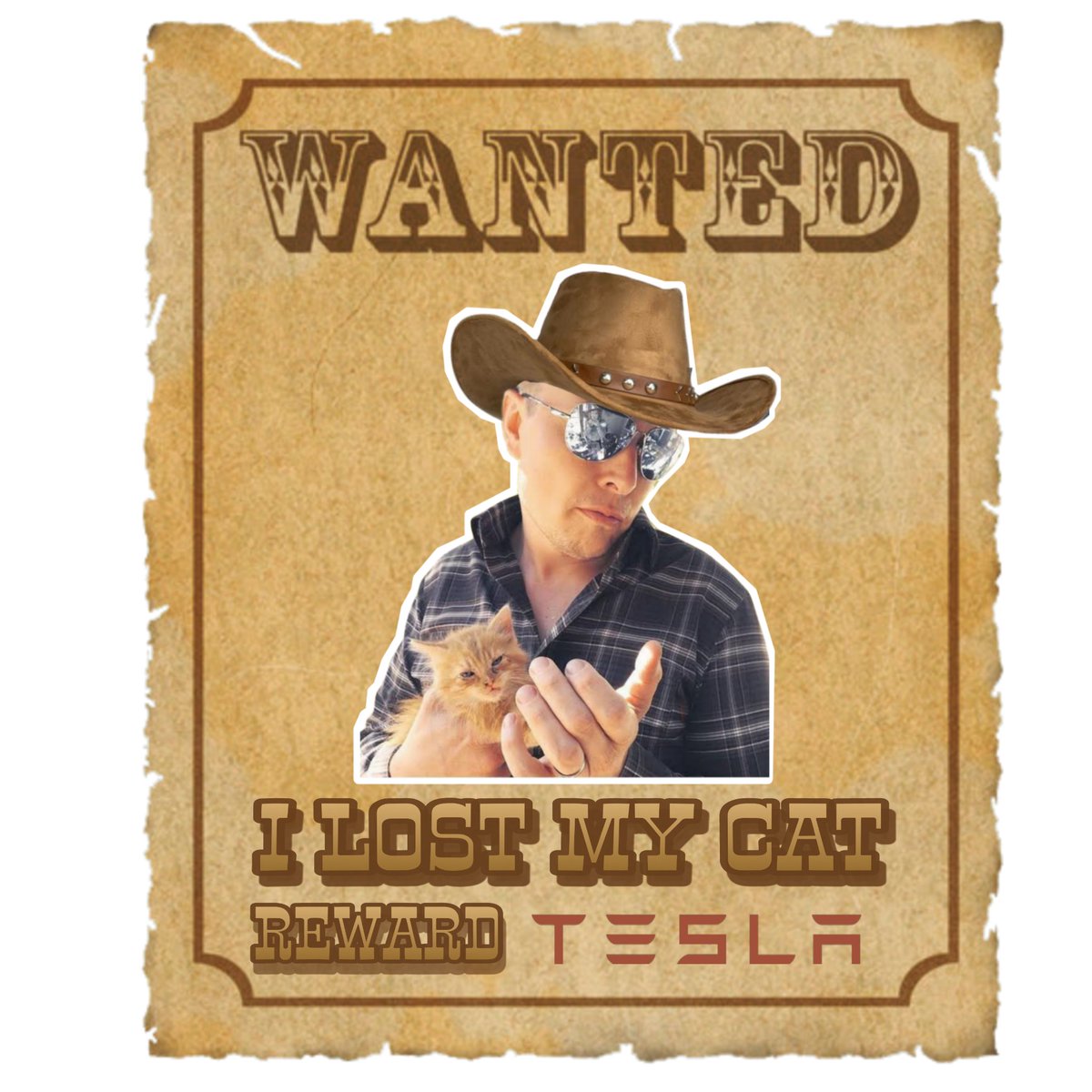 <a href="/elonmusk/">Elon Musk</a> He  name Is <a href="/Fat_Cat_Killer/">Fat Cat Killer</a>  ($KILLER) but doesnt respon to it but i love him and still want him back!!!
