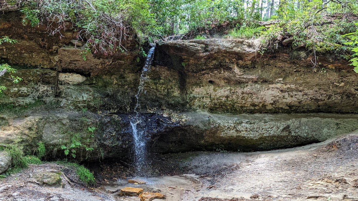 RichlandRec's tweet image. From amazing artwork, to natural beauty, South Carolina is full of wonderful hidden gems. Why not take a day trip this weekend and discover a new favorite spot. Check out this great list of hidden Gems in South Carolina from @atlasobscura
 atlasobscura.com/things-to-do/s…
#exploresc