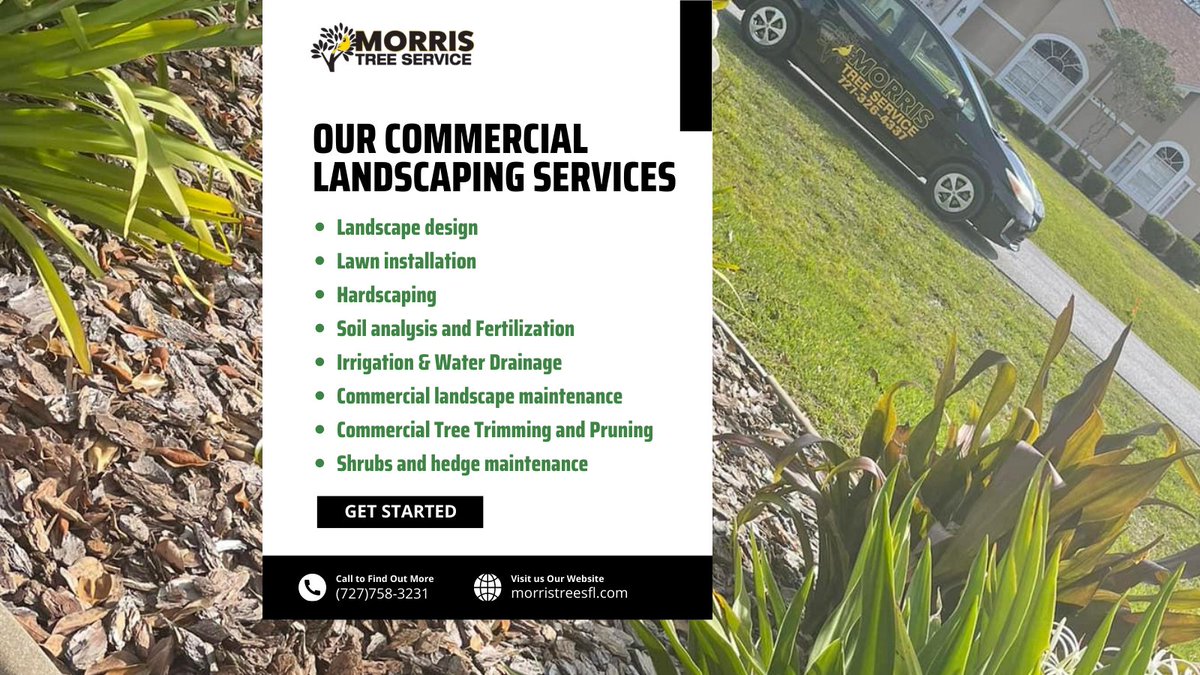 MorrisTreeServices tweet media