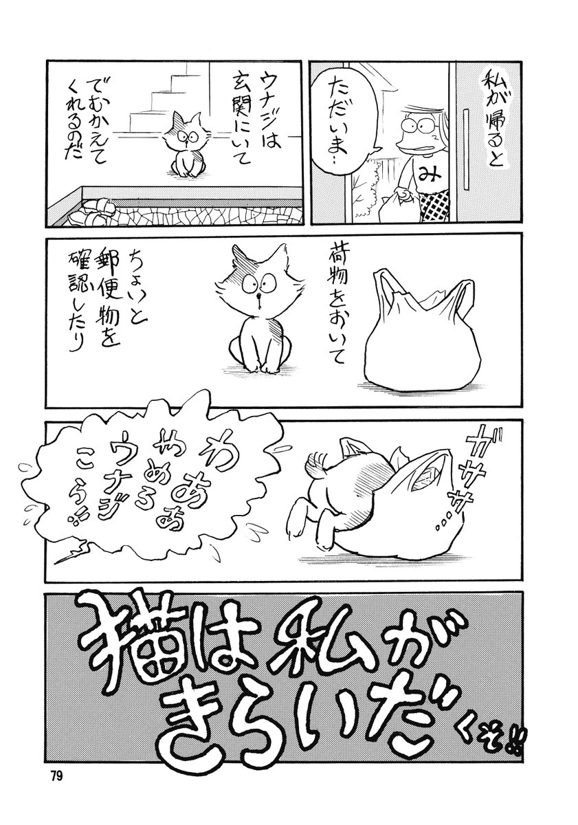 「ねこまんが」について
画像1 もくじ。だいたいこんな内容です。

画像2 裏表紙。過去に出たコピー本全6話分収録。

画像3 解説コラムほか写真付き

画像4 後藤静香さん描き下ろし第7話 