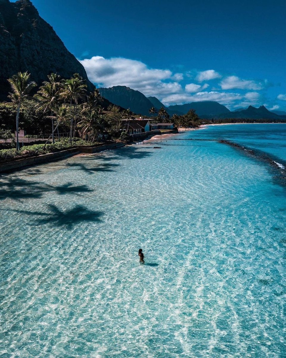 _magical_nature's tweet photo. Hawaii Beach https://t.co/qDDxCkpwLa