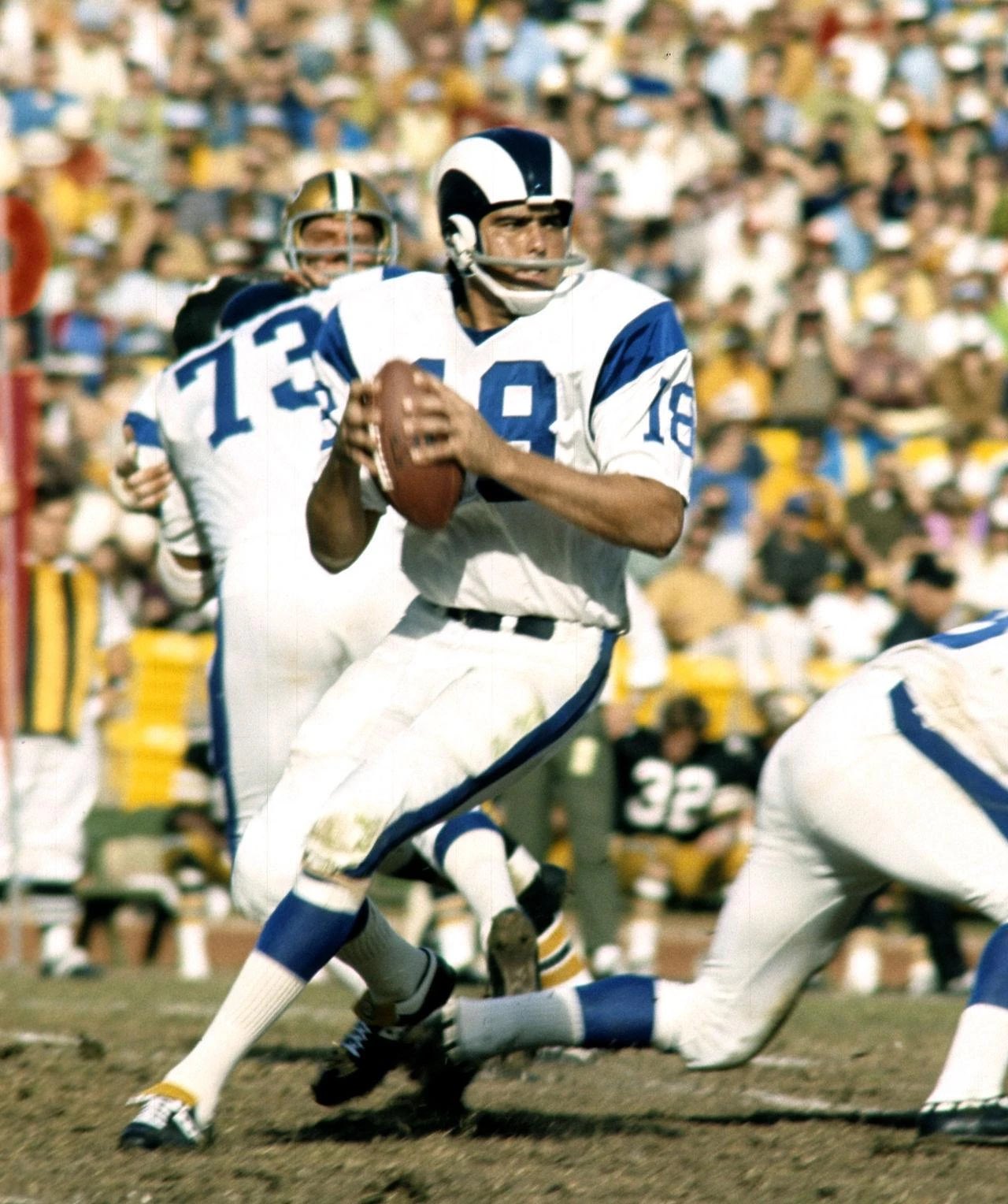 Happy Birthday Roman Gabriel 