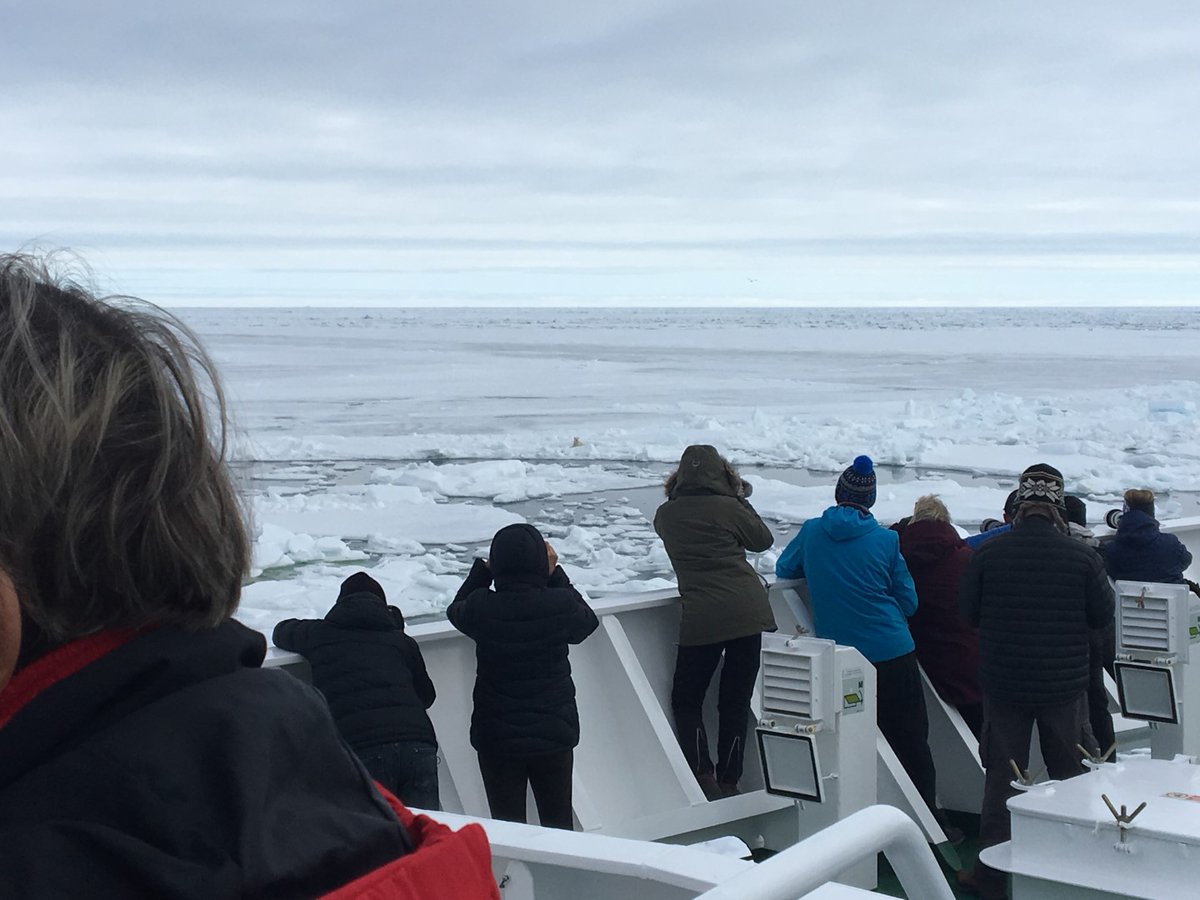 OceanwideExp's tweet image. Our expedition guides often share pictures with us from their trips, and today we'd like to show you some of our favorite from Miriam Vermeij. #thearctic