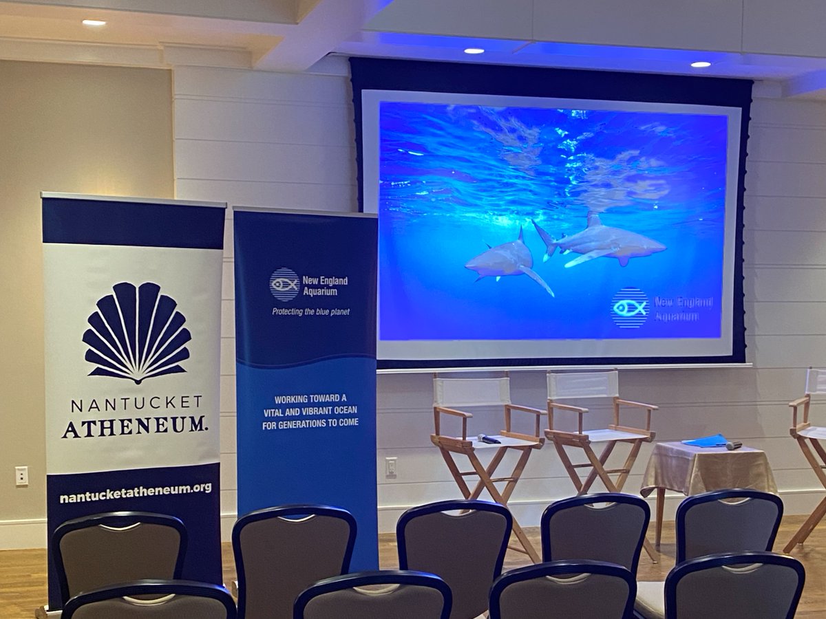 Sharing our #shark research at the Nantucket Atheneum on Tuesday evening was a highlight to the week! 🦈

Thank you @acklibrary for our invitation to this lecture series. We look forward to future collaborations! @WhiteElephantMA #ProtectTheBluePlanet