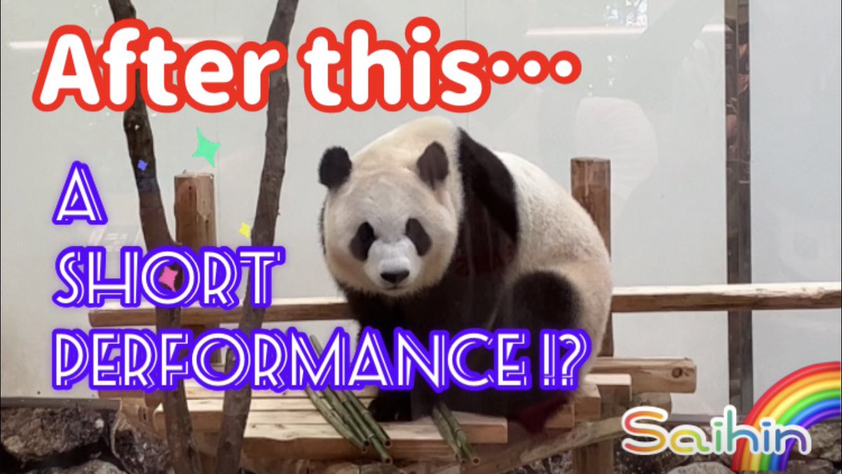 Japanda_world's tweet photo. ↓Watch the video ❗️ 
https://t.co/CAXNhnmmJ9 @YouTube
🌈Saihin🐼Relaxed and relaxing mode... Unbelievable one-shot performance😆Adventure world 🐼Panda 🌿 https://t.co/qdbOmIrOkH