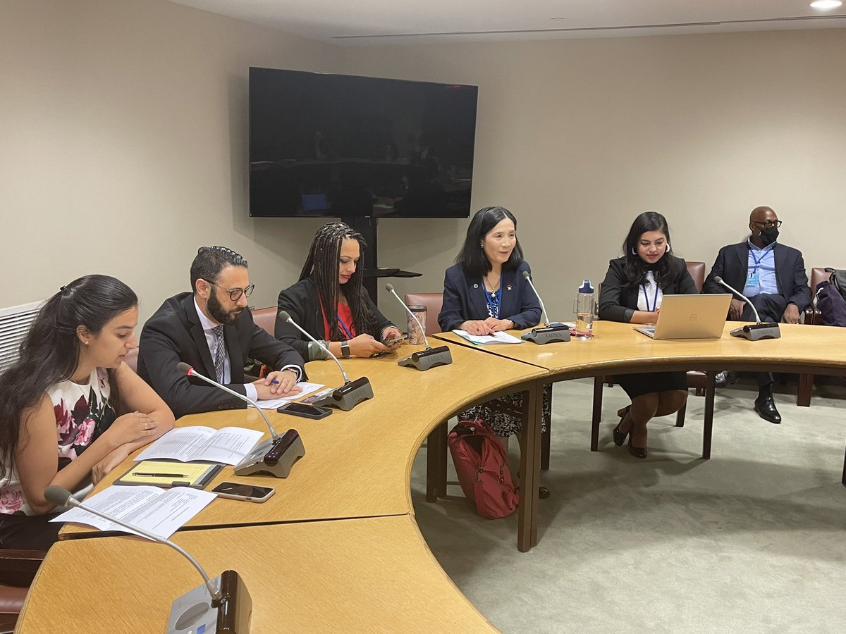 It is happening Now at #NPTRevCon, @WCAPSnet side event on Advancing Nonproliferation and Disarmament Education by Bolstering the Voices and Works of Women of Color @rebecca_irby @MishraSylvia @VincentIntondi @CNS_MasakoToki!