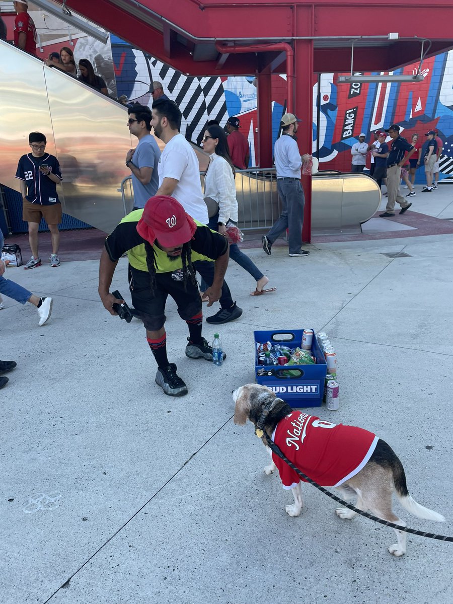 WildcatPE_Kalso's tweet photo. Take me out to Milo’s first @Nationals baseball game tonight! ⚾️🐶 We met some friends and took a lot of pictures ❤️ #PupsinthePark #beagle #ThankyouSoto https://t.co/DfYqglfHLw